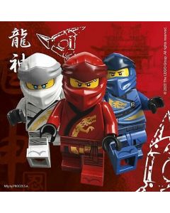 TOVAGLIOLI LEGO NINJAGO PZ.20