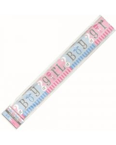 FESTONE BANNER BOY OR GIRL?