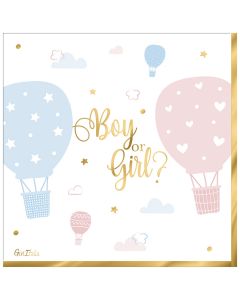 TOVAGLIOLI BOY OR GIRL? PZ.16 33x33CM 64342
