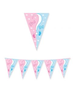 FESTONE BANDIERINE GIRL OR BOY?