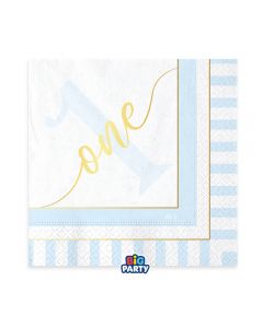 16 TOVAGLIOLI 33x33 One Today Light Blue