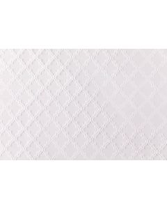 BUSTINE TRASPARENTI LIGHT ORIENTAL BIANCO PZ.50