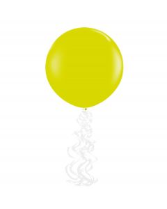 FRANGE A SPIRALE BIANCHE PZ.6