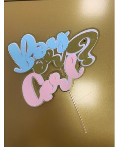 CAKE TOPPER 3D GENDER REVEAL BOY OR GIRL?