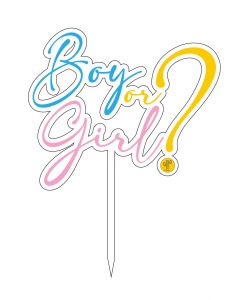 CAKE TOPPER PLEX GENDER REVEAL BOY OR GIRL? DF