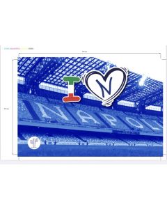 BANDIERINA IN CARTA CON ASTICELLA 20x30CM LOVE NAPOLI