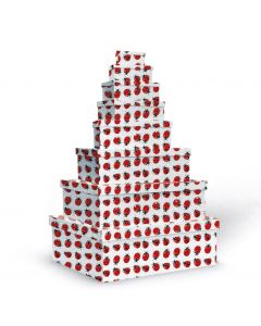 SET 8 SCATOLE RETTANGOLARI COCCINELLE