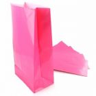 SACCHETTI IN CARTA FUCSIA PZ.10