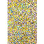SPRINKLES MINI MIX SUMMER SUNSET 100GR