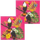 TOVAGLIOLI TUCANO PZ.12