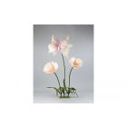 FIORE ARTIFICIALE CARTA ANEMONE CON BASE MDF 3 STELI H CM 73-93-130