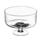 AMPOLLA COPPA VETRO 300-24