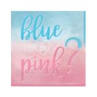 TOVAGLIOLI THE BIG REVEAL BLUE OR PINK? PZ.16