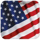 PIATTINI QUADRATI U.S.A. PZ.8