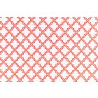 BUSTINE TRASPARENTI LIGHT ORIENTAL ROSSO PZ.50