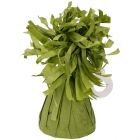 PESETTO PER PALLONCINI AD ELIO IN CARTA VERDE OLIVA