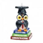 CANDELINA GUFO LAUREATO PZ.1