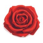 ROSA FOAM ROSSA DA APPOGGIO/APPENDERE D.30