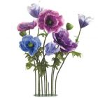 GRUPPO ANEMONE GIGANTE H200