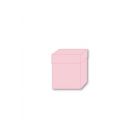 BOX SURPRISE ROSA 50X50CM