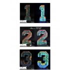 NUMERI LED DA DECORAZIONE 25CM