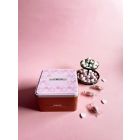 CONFETTI PAPA CONFEZIONE IN LATTA CIOCCOGOLOSONE ROSA INCARTATI 500GR