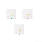 TOVAGLIOLI 25x25 INIZIALI PZ.16