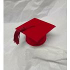 SCATOLINA PORTACONFETTI VELLUTO LAUREA.