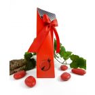 SCATOLINA COCCINELLA FORTUNA 3,5x5x12cm 20pz