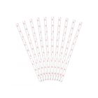 CANNUCCE IN CARTA BIANCHE CON CUORICINI ROSA PZ.10 LV