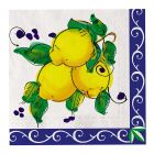 20 TOVAGLIOLI 33 x 33 cm SORRENTO.