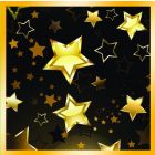 TOVAGLIOLI STELLE ORO PZ.16